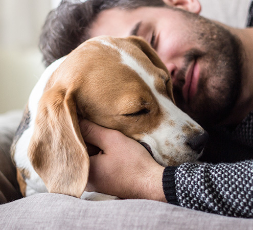 Como cuidar y hacer feliz a tu perro