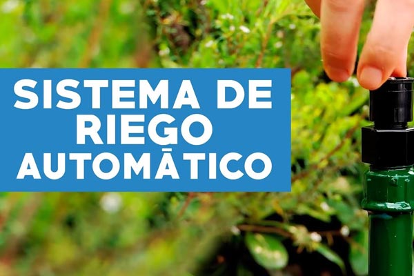 Cmo implementar un sistema de riego automtico en el jardn?