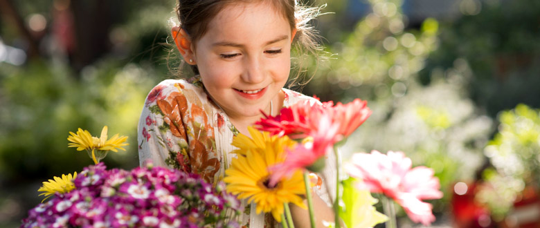 Cmo cuidar t jardin en Primavera - Verano?