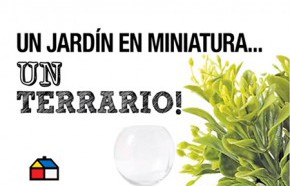 Cmo hacer un terrario?